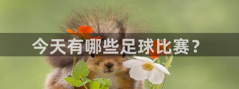 今天有哪些足球比赛？