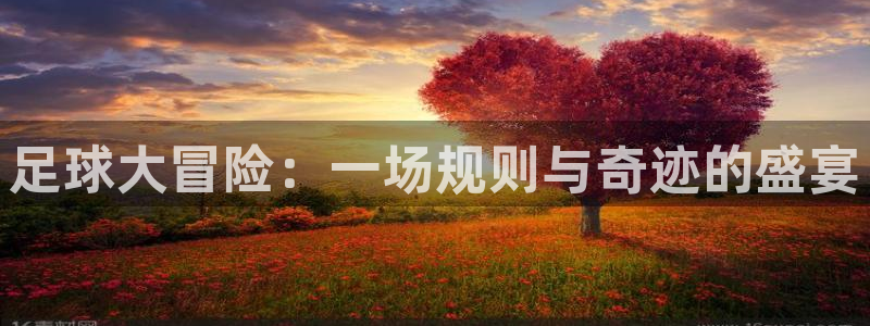足球大冒险：一场规则与奇迹的盛宴