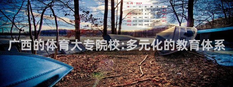广西的体育大专院校:多元化的教育体系