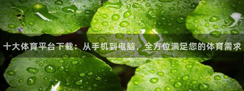 十大体育平台下载：从手机到电脑，全方位满足您的体育需求