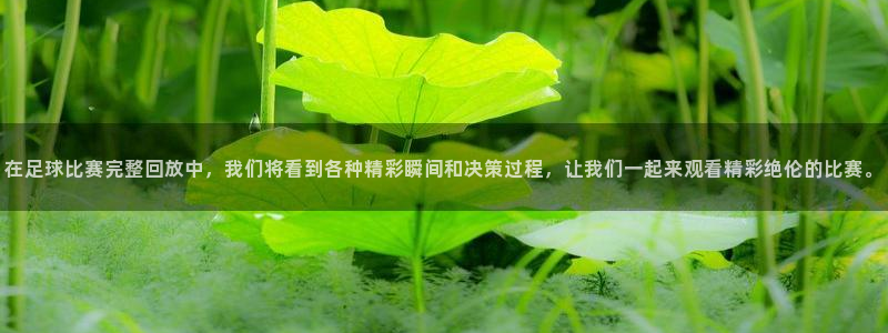 在足球比赛完整回放中，我们将看到各种精彩瞬间和决策过程，让我们一起来观看精彩绝伦的比赛。