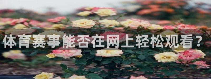 体育赛事能否在网上轻松观看？