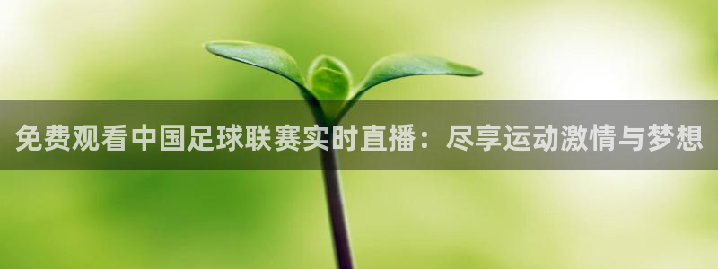 雷速体育比分 篮球：免费观看中国足球联赛实时直播：尽享运动激情与梦想