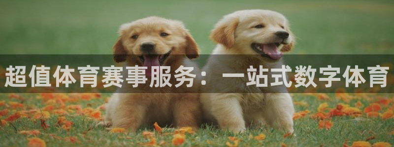 意甲雷速体育最新比分：超值体育赛事服务：一站式数字体育