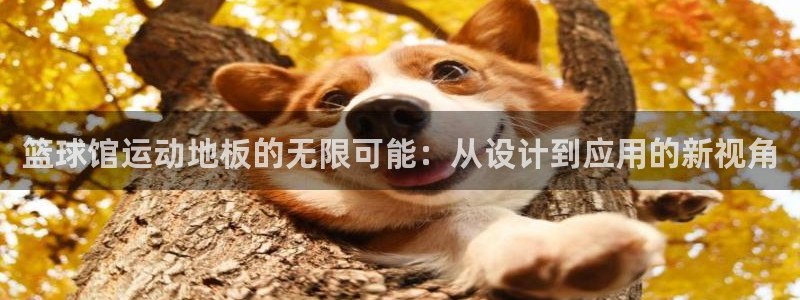 雷速体育app官网下载：篮球馆运动地板的无限可能：从设计到应用的新视角