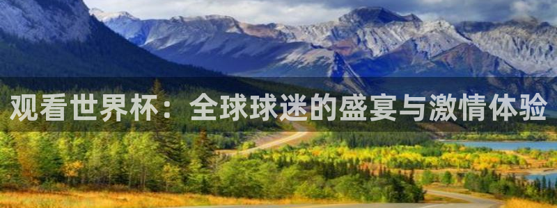 德乙雷速体育最新比分：观看世界杯：全球球迷的盛宴与激情体验