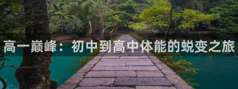 法甲雷速体育最新比分