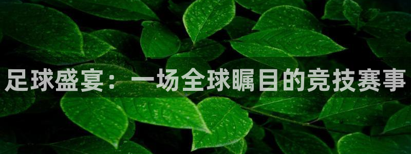 德甲雷速体育最新比分