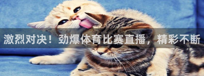 比分网雷速体育：激烈对决！劲爆体育比赛直播，精彩不断