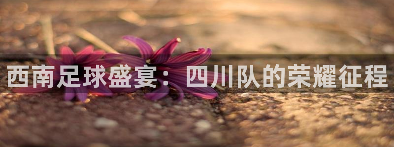 英超雷速体育最新比分：西南足球盛宴：四川队的荣耀征程