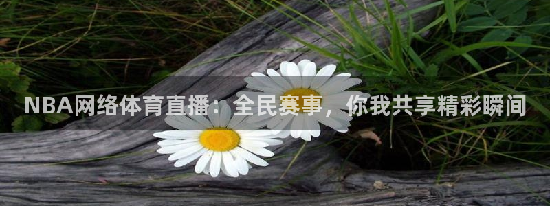 雷速体育足球比分官网：NBA网络体育直播：全民赛事，你我共享精彩瞬间