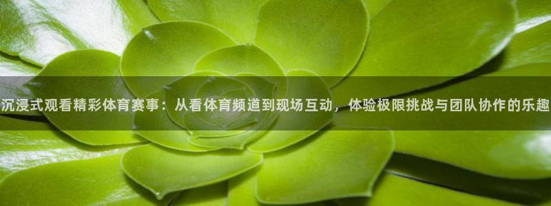 雷速体育比分篮球：沉浸式观看精彩体育赛事：从看体育频道到现场互动，体验极限挑战与团队协作的乐趣