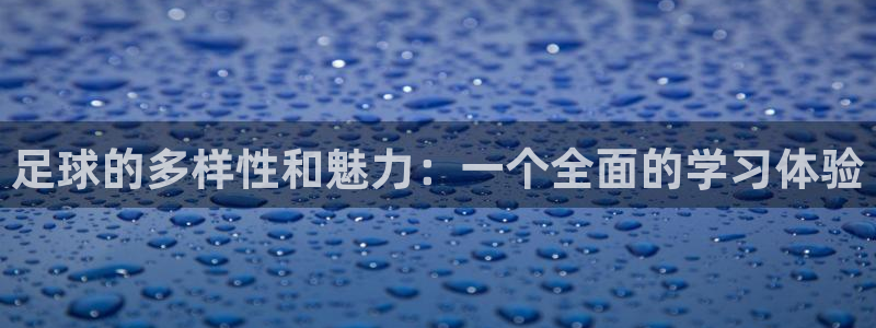 足球直播-雷速体育