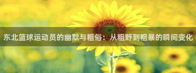 雷速体育比分篮球