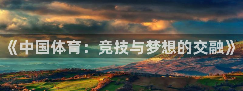 足球比分雷速体育
