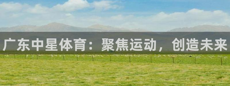 法甲雷速体育最新比分：广东中星体育：聚焦运动，创造未来