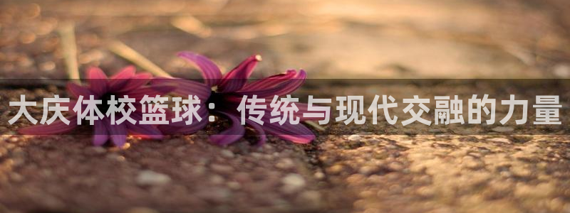 雷速体育网球比分官网：大庆体校篮球：传统与现代交融的力量