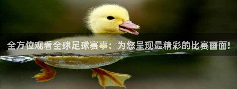 雷速体育直播：全方位观看全球足球赛事：为您呈现最精彩的比赛画面!